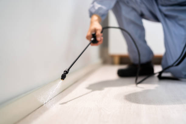 Licensed Pest Control service in Michigan Center, MI - Show Me Pest Control